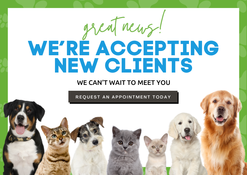 Carousel Slide 2: Request an Appointment Today!