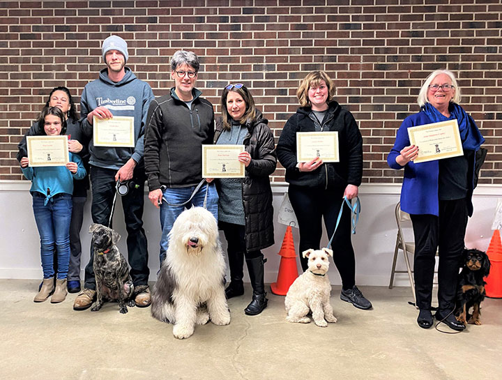 Dog Training Classes in Rowley