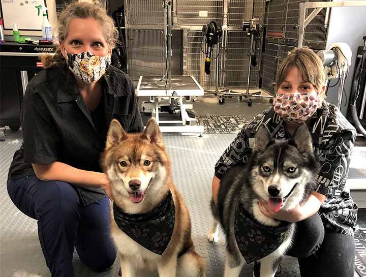 Pet Groomers